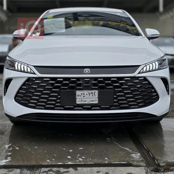 BYD Qin Plus 2025 for sale in Iraq - Baghdad